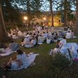 Notte bianca