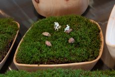 Vudafieri-Saverino - GoGoGoGreen! Micropaesaggi mirati