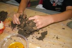 Workshop Terra Cruda