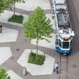 The Swiss Touch in Landscape Architecture?