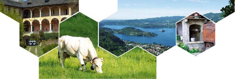 artsfestival nel cuore verde tra due laghi